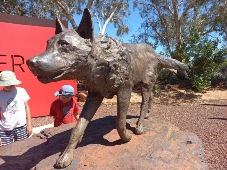 Red Dog at Dampier