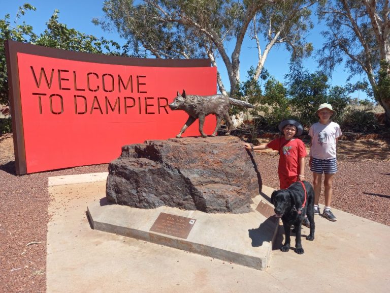 Red Dog at Dampier