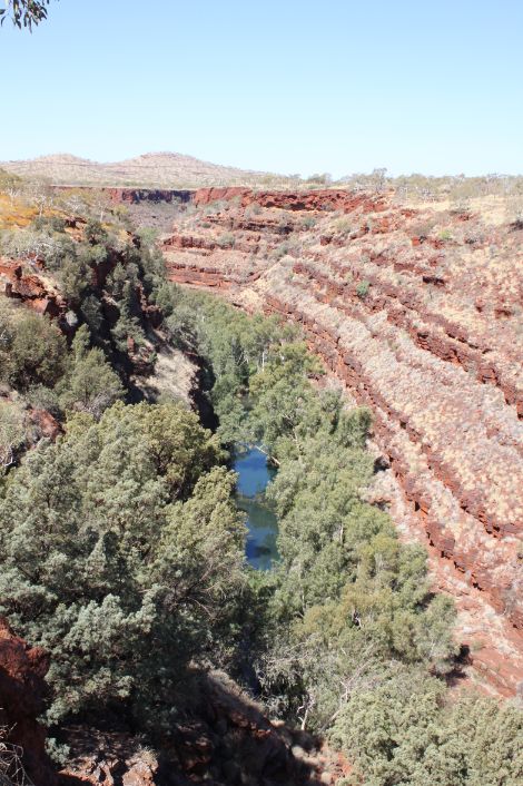 Dales Gorge Karijini NP