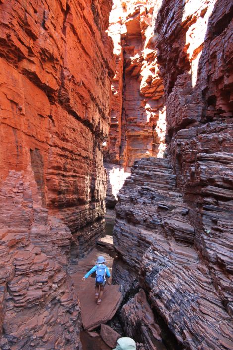 Handrail Pool Karijini NP