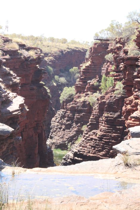 Joffre Gorge Karijini NP