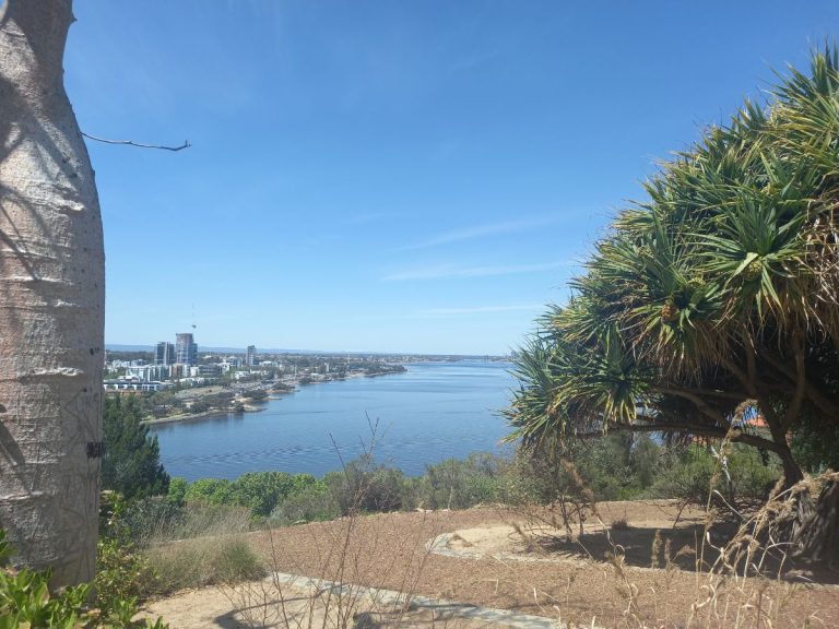 Perth from King's Park