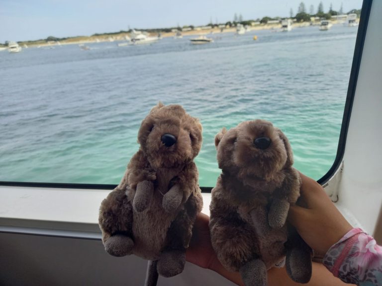 Rotto and Quokkamole