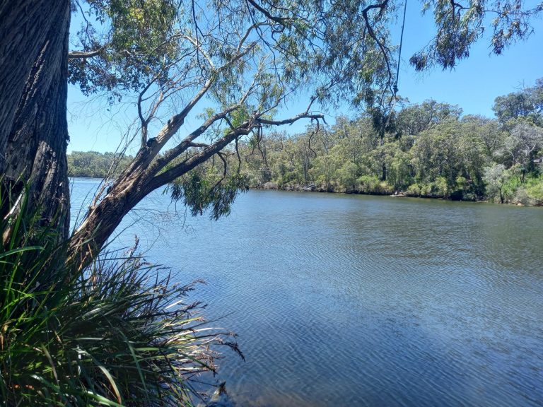 Blackwood River at Alexandra Bridge