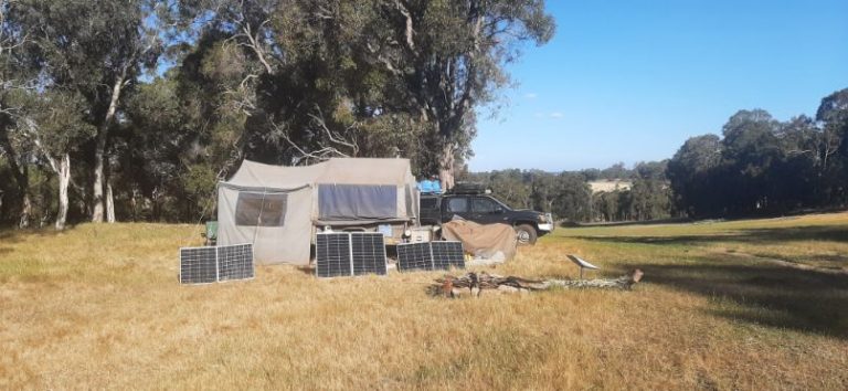 Boyup Brook Sheep Paddock