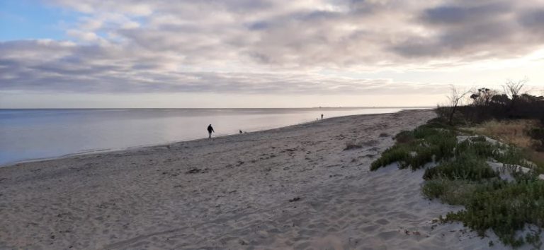 Busselton Morning Walk (1)