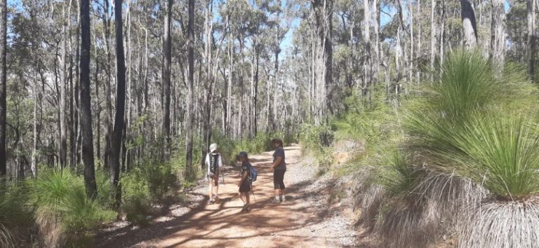 Lane Poole Reserve