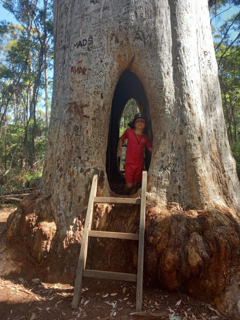 Walk through tree