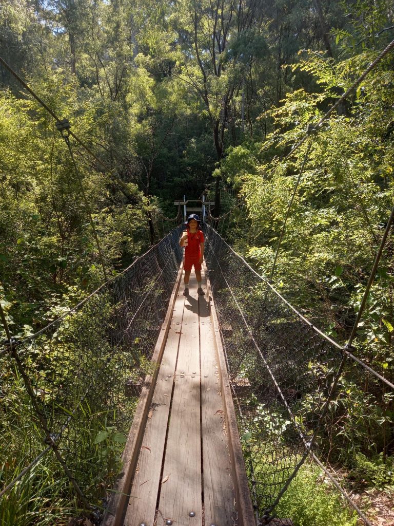 Walk to walk through tree