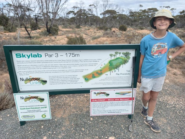 Par 3 with gum trees on the fairway