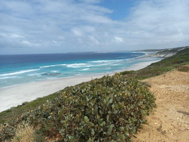 The beaches of Esperance