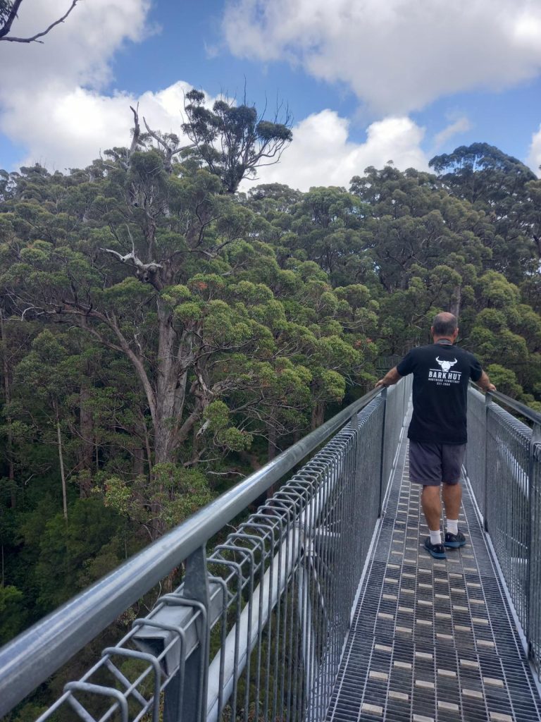 Valley of the Giants Treetop Walk