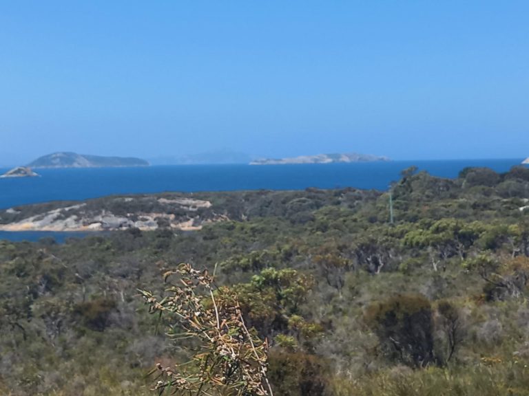 View from the Albany Botanic Gardens